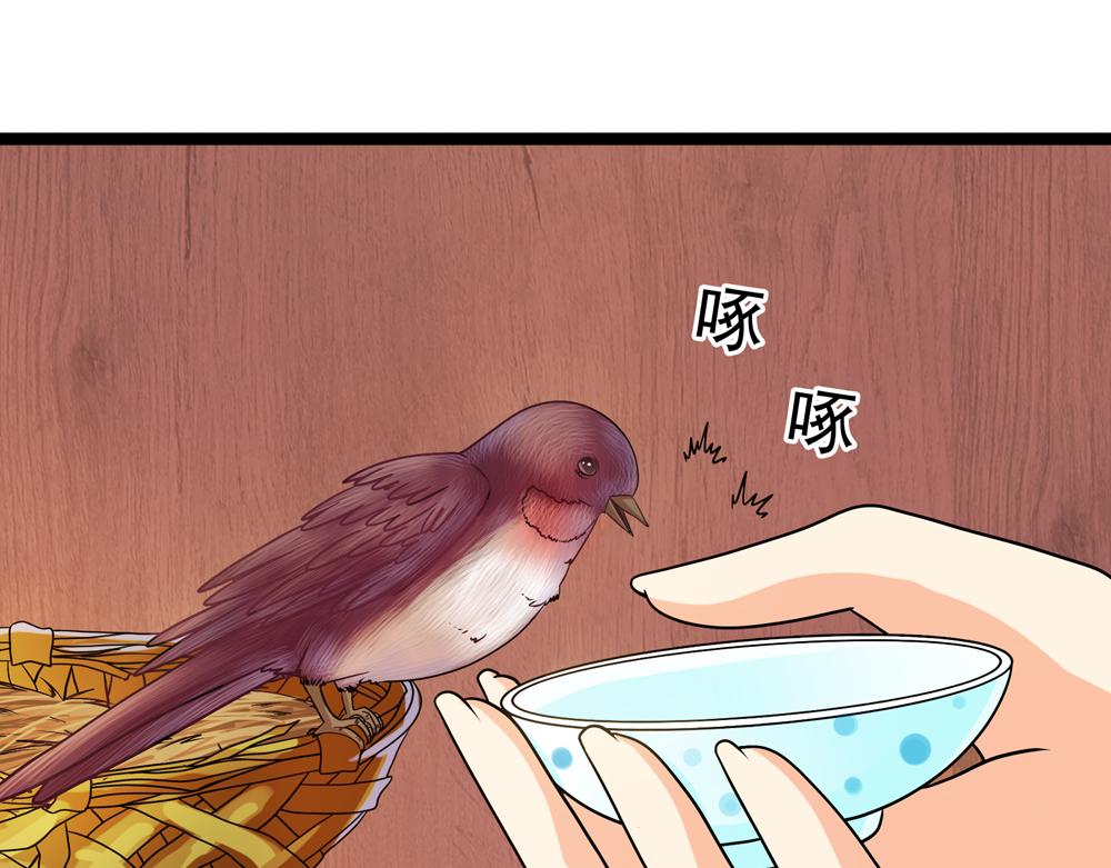 第35话 生活如诗17