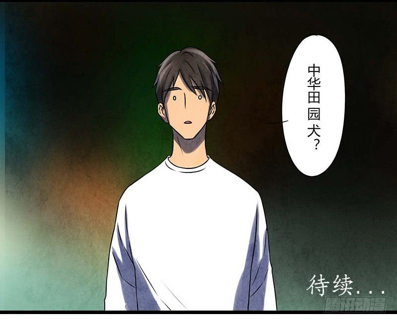 段扬29