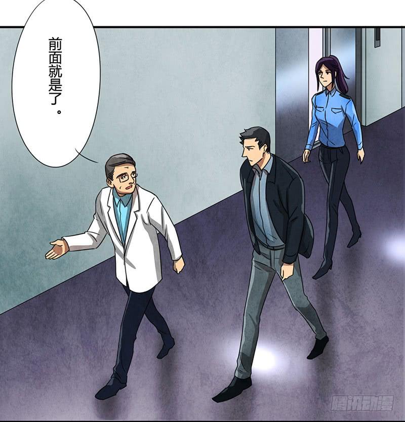 似曾相识4