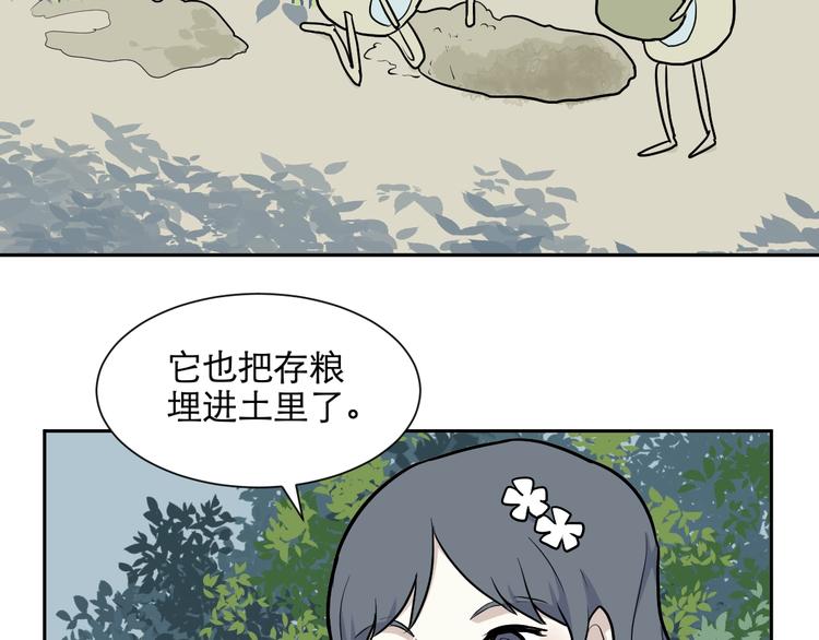 第71话 起源（上）49