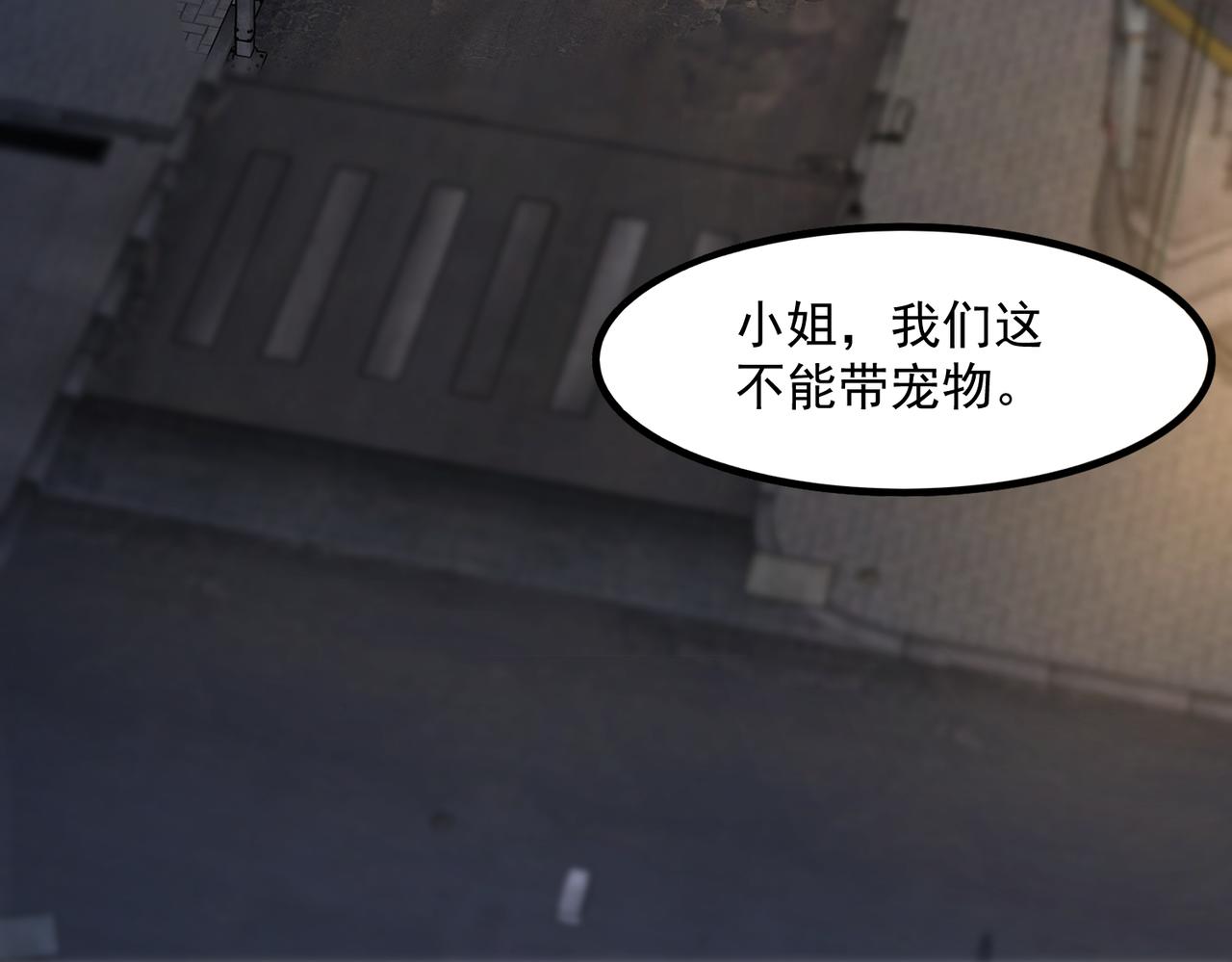 36这里始终不是我的家49