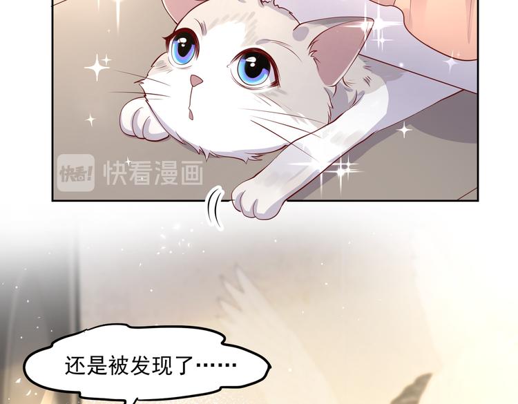 30乔总你想多了36