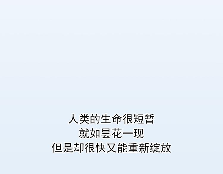番外1  盛夏茉莉77