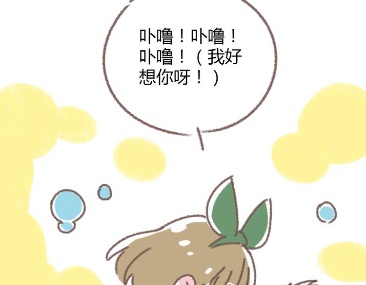番外  锦鲤小剧场之海的女人72