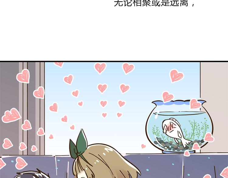 完结篇 终会相遇135