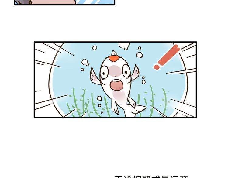 完结篇 终会相遇134