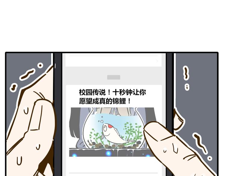 第9-1话 许愿锦鲤64