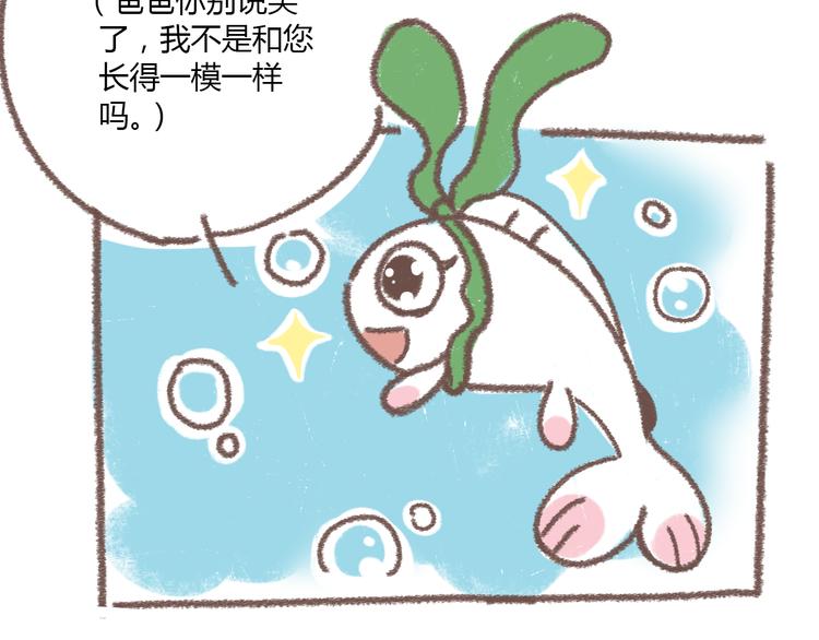 番外  锦鲤小剧场之海的女人20