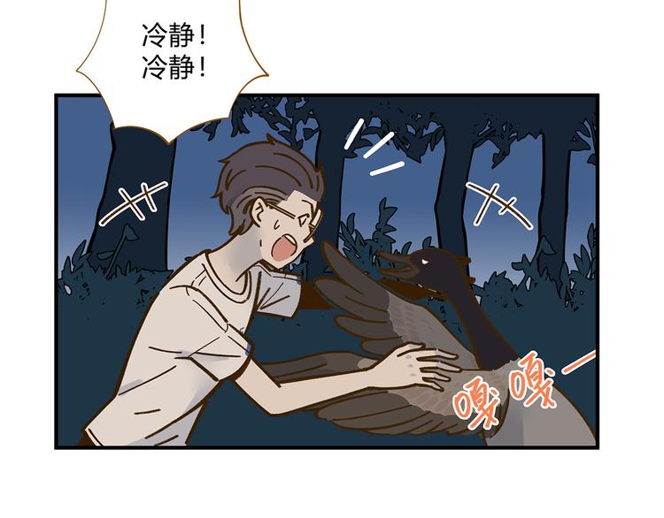 第61话 这次换我保护你19