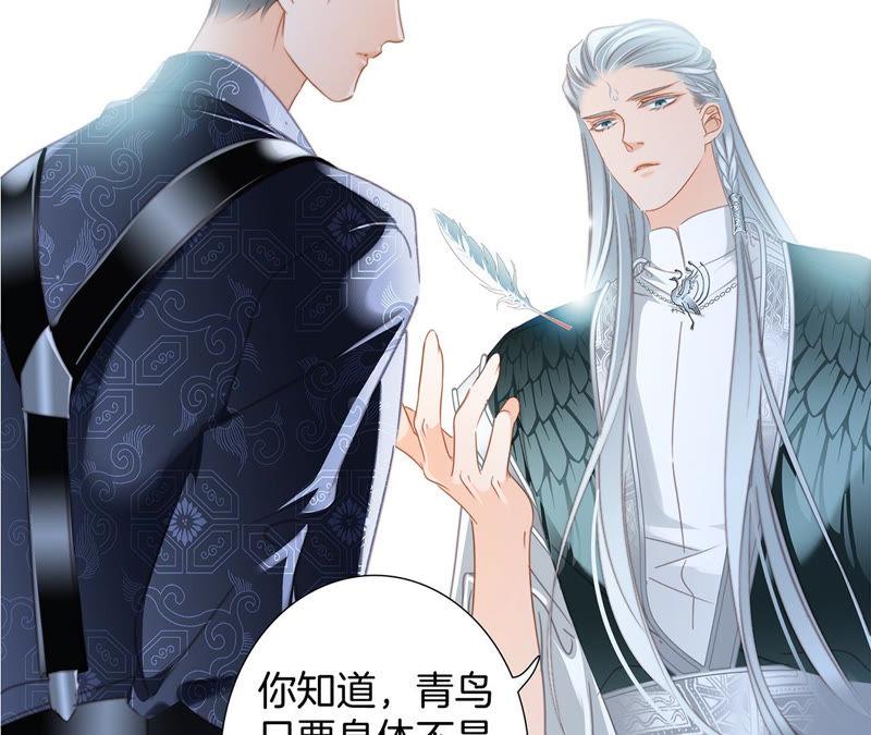 第66话 追踪62