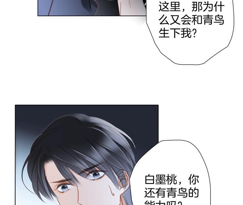 第63话 循环51