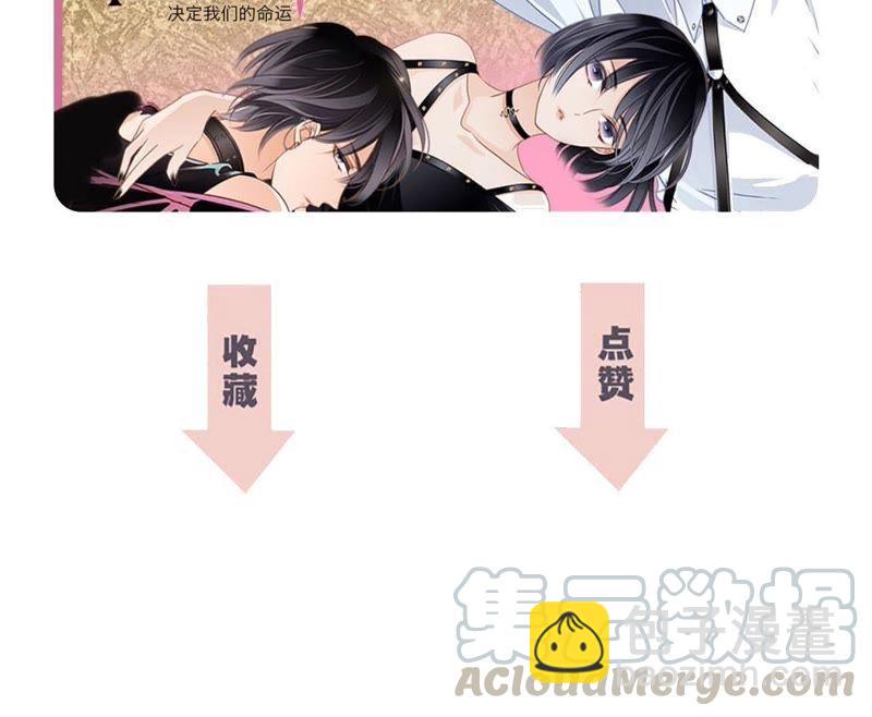 第56话 心意100