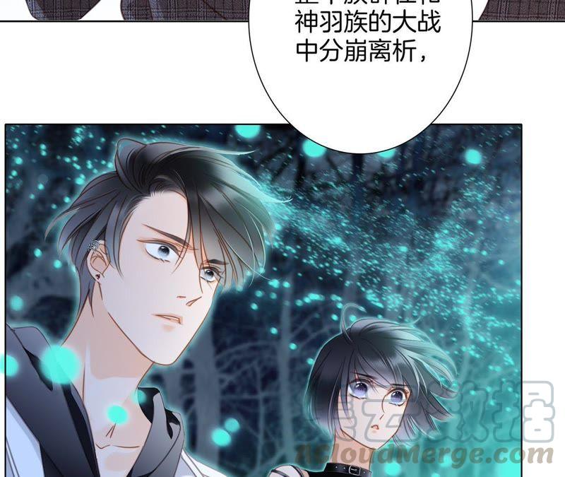 第52话 入口56