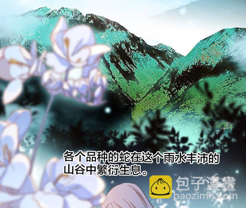 第62话 冥界之花1