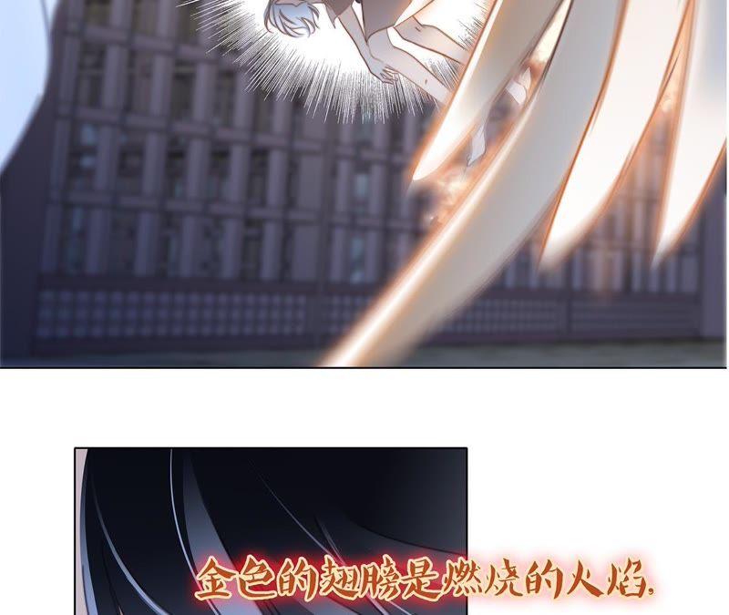 第42话 金翅鸟23