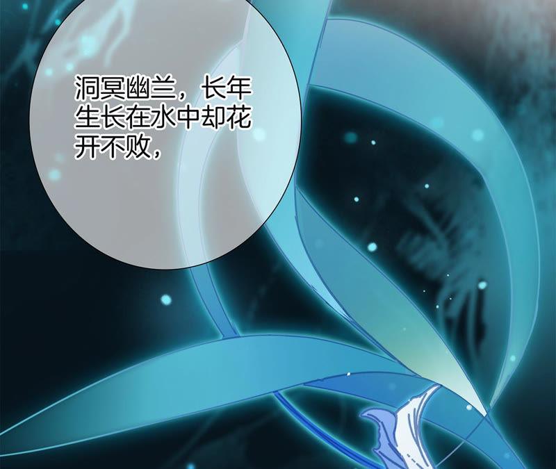 第62话 冥界之花29