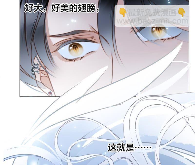第57话 翅膀38
