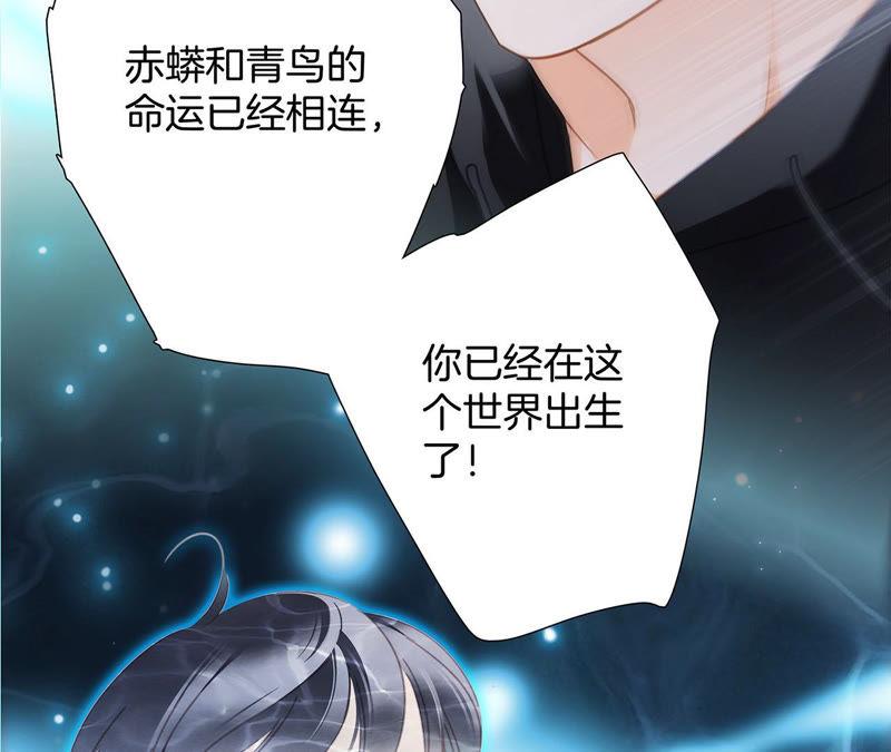 第66话 追踪7