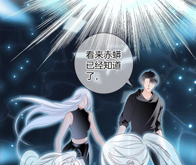 第66话 追踪19