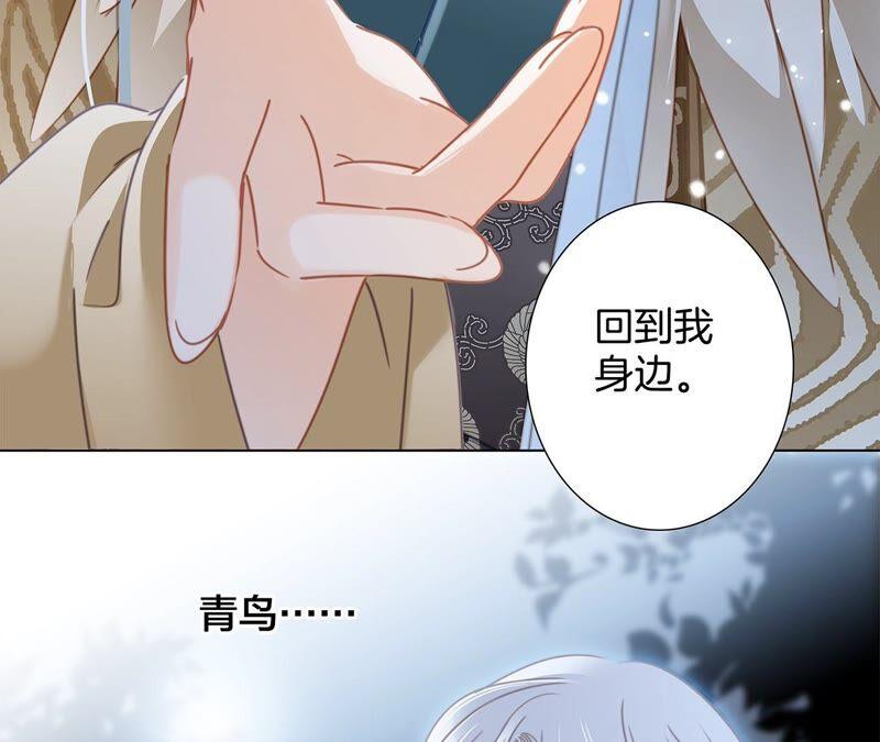 第84话 假相5