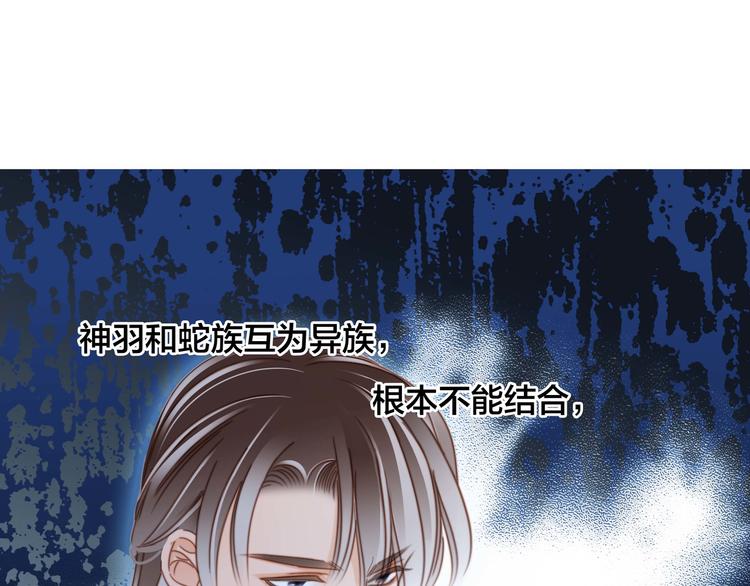 第29话 同伴19