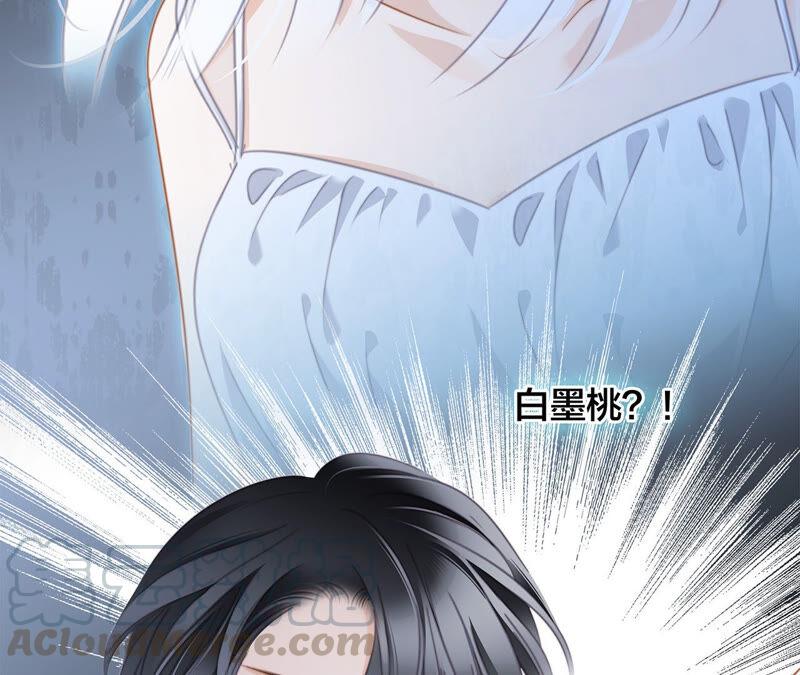第78话 目标4