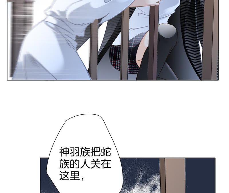 第42话 金翅鸟13