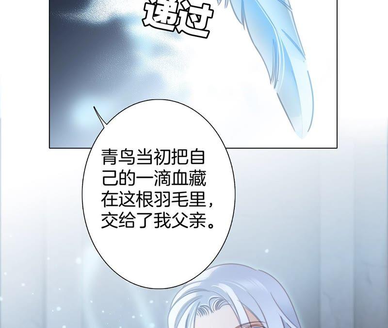 第92话 青羽19