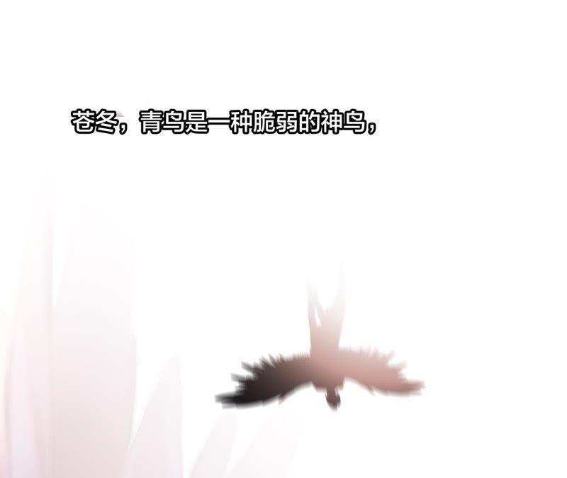 第46话 守护71