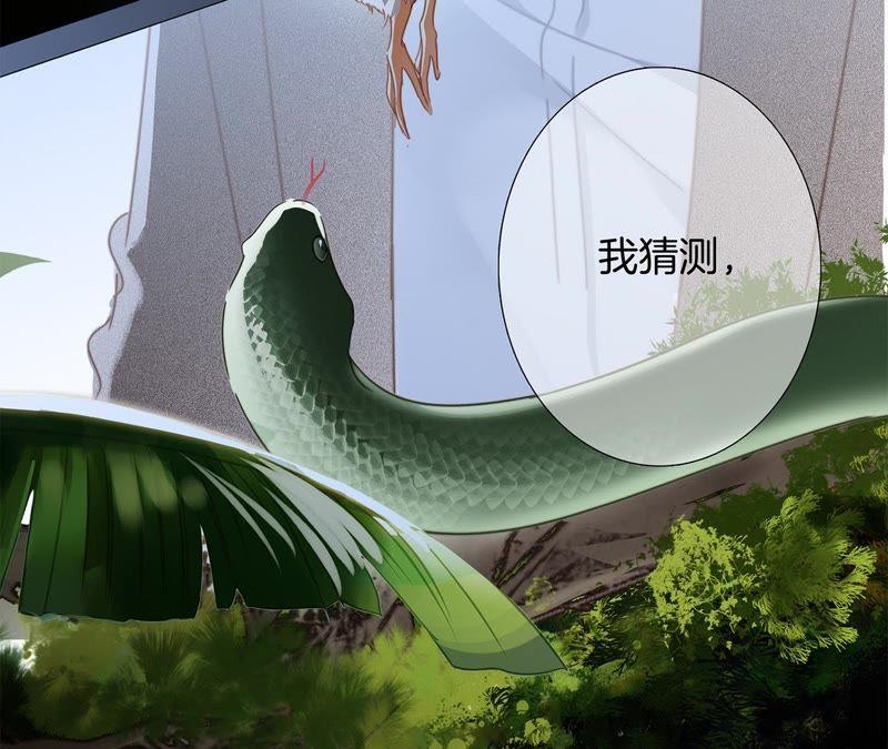 第39话 光之树84