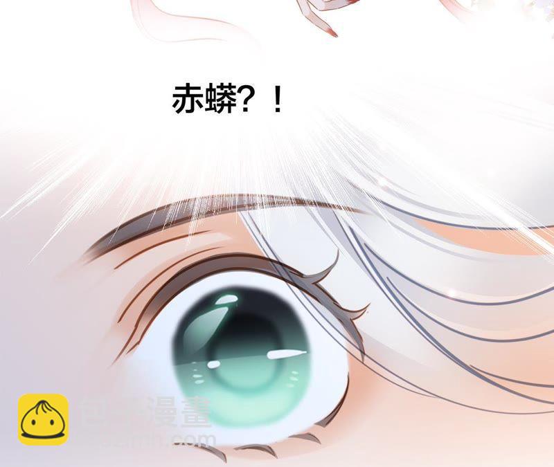 第57话 翅膀101
