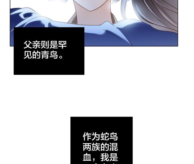 第33话 真相13