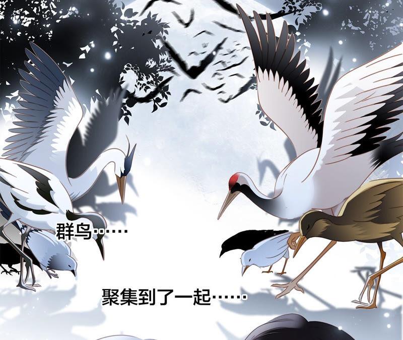 第83话 群鸟5