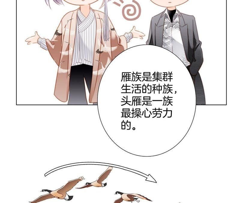 第38话 引路29