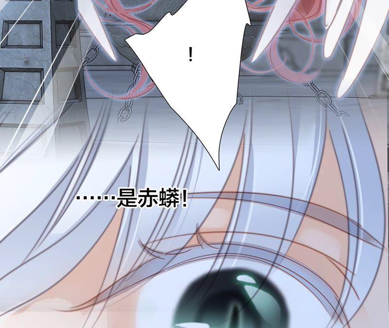 第88话 傀儡31