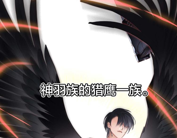 剧情梳理 特别篇17