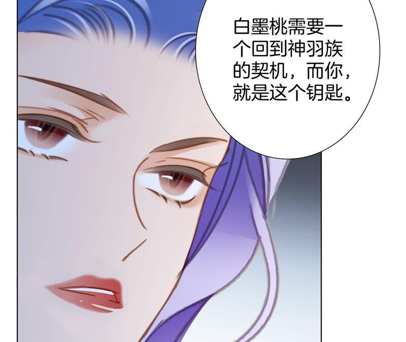 第77话 放归50