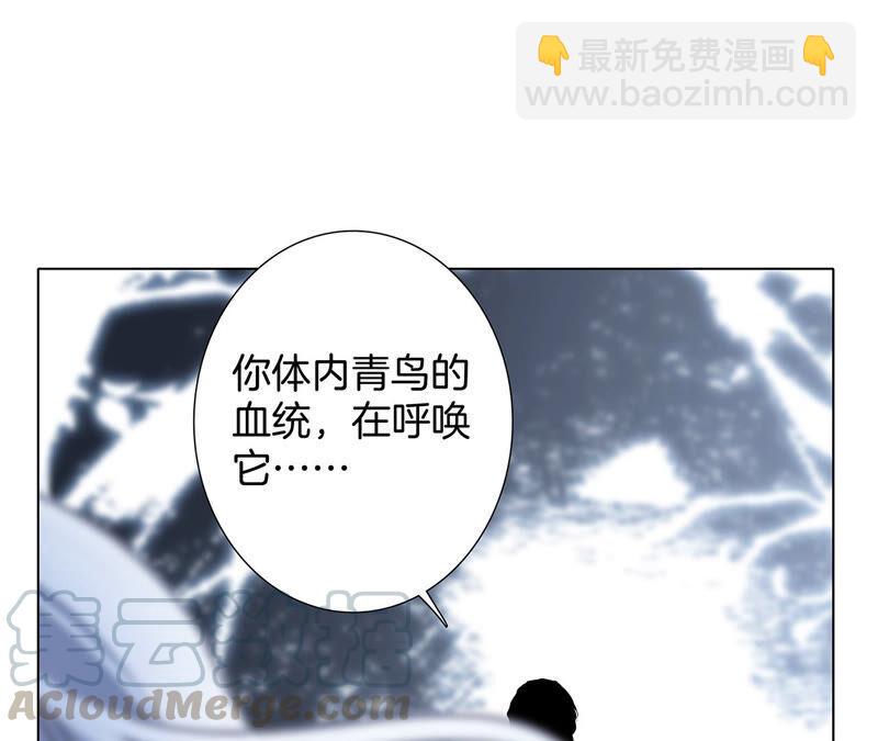 第83话 群鸟72