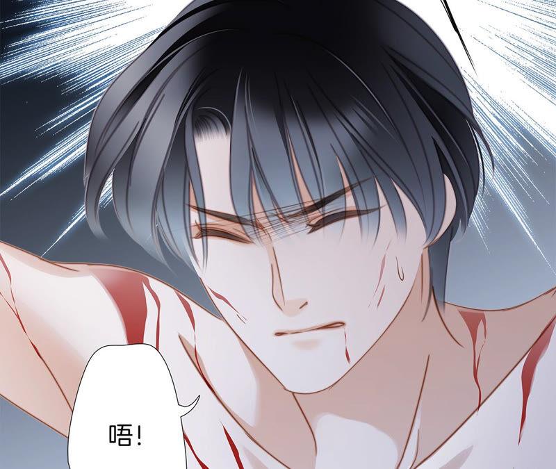 第77话 放归40