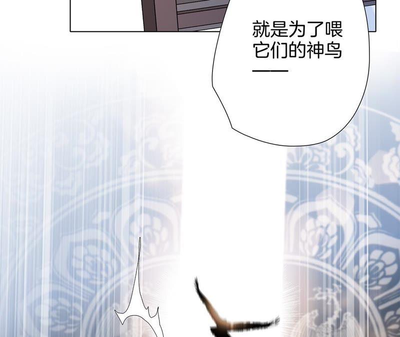 第42话 金翅鸟15