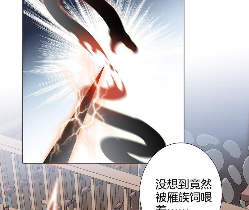 第42话 金翅鸟36