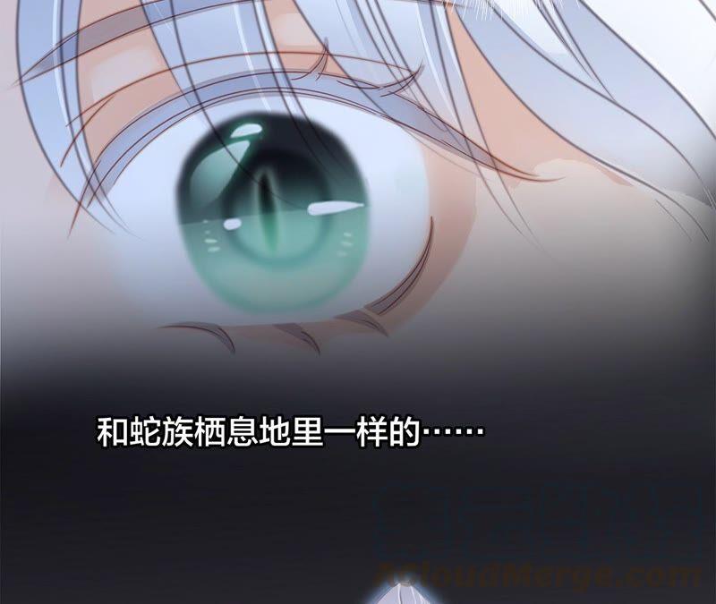 第88话 傀儡15
