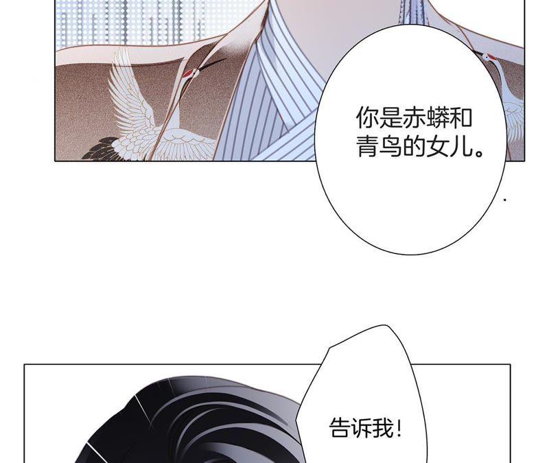 第38话 引路9