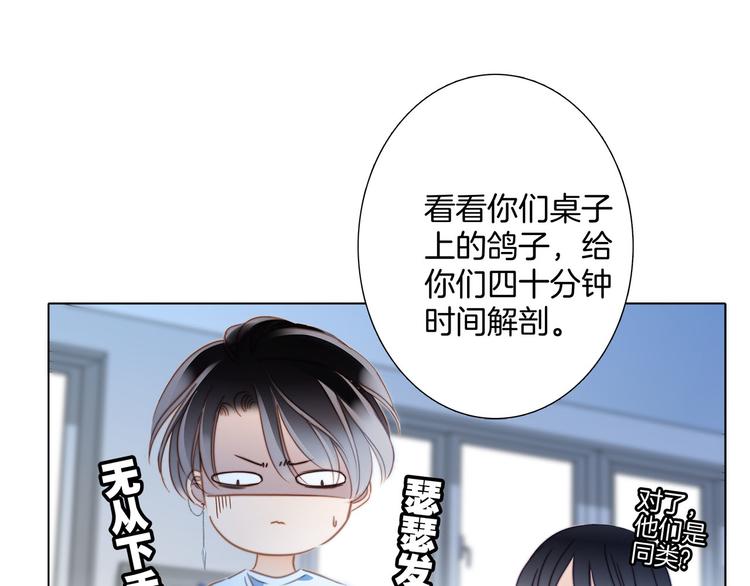 第16话 解剖课49