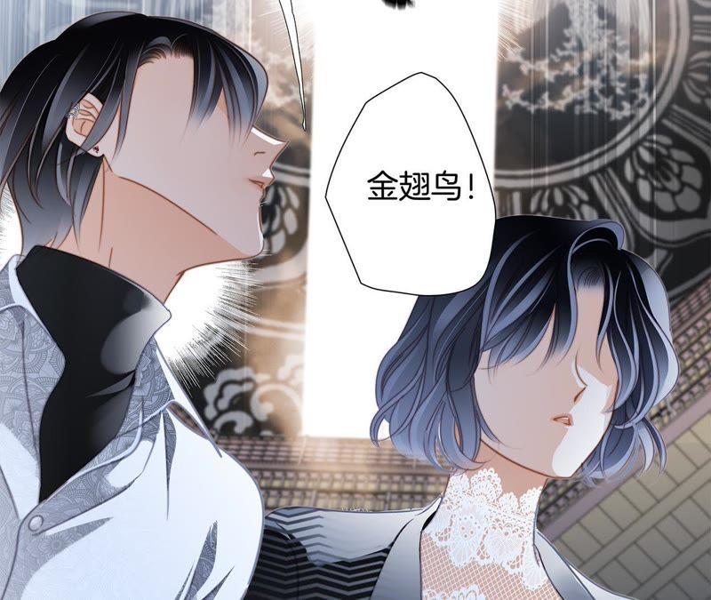第42话 金翅鸟16