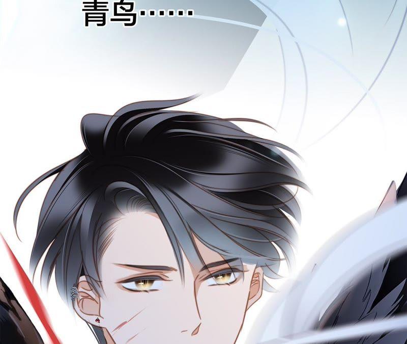 第57话 翅膀11