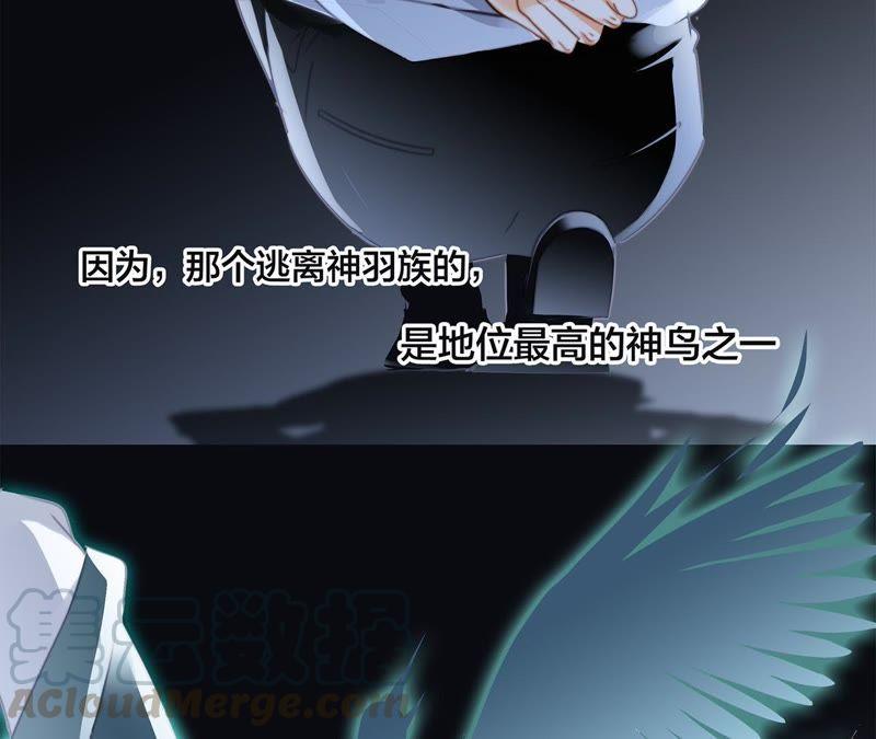 第44话 愿望20