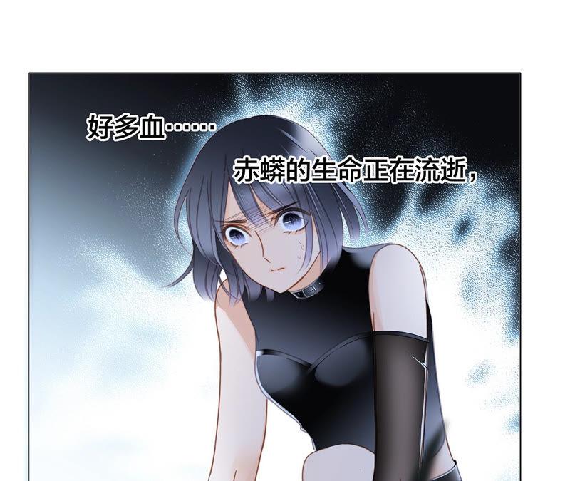 第63话 循环47