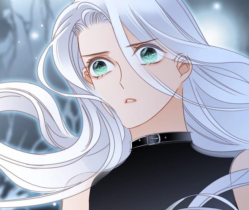 第75话 命定27