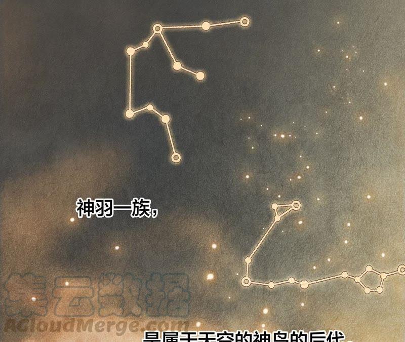第39话 光之树0